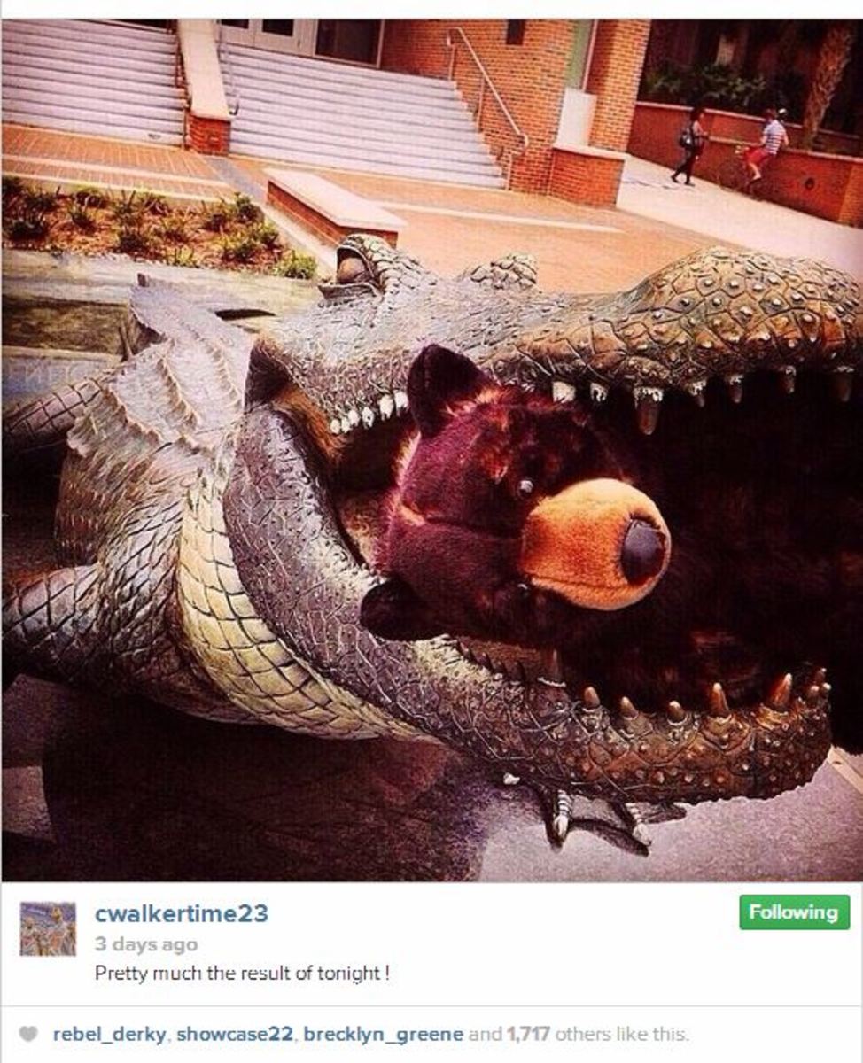 Image placeholder title