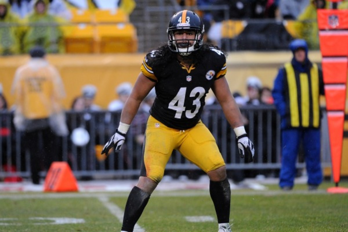 Troy Polamalu had 69 tackles, five forced fumbles and two interceptions last season. (George Gojkovich/Getty Images)