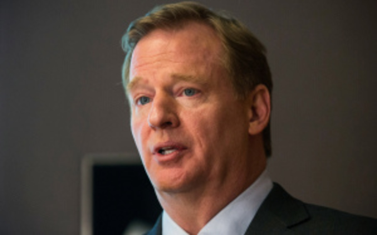 Commissioner Roger Goodell, who is reportedly in favor of the playoff expansion, has said it wouldn't take place before 2015. (Andrew Burton/Getty Images)