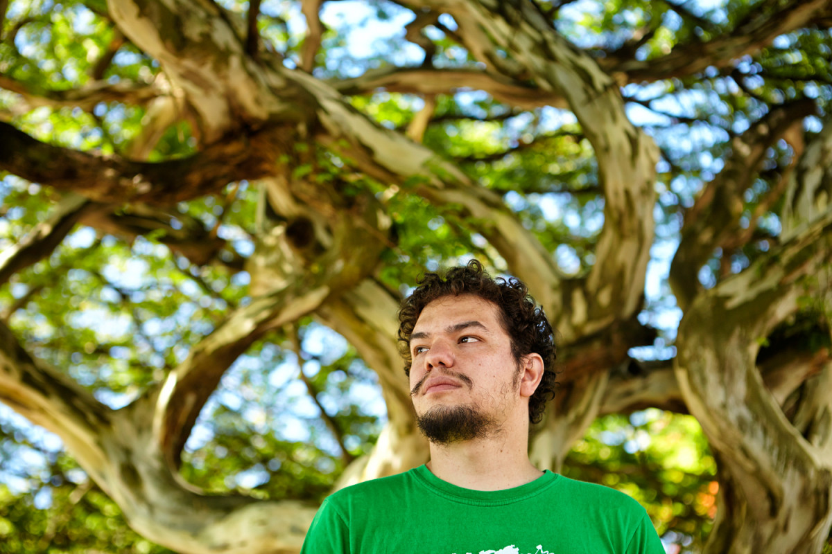 two-brazils-man-tree