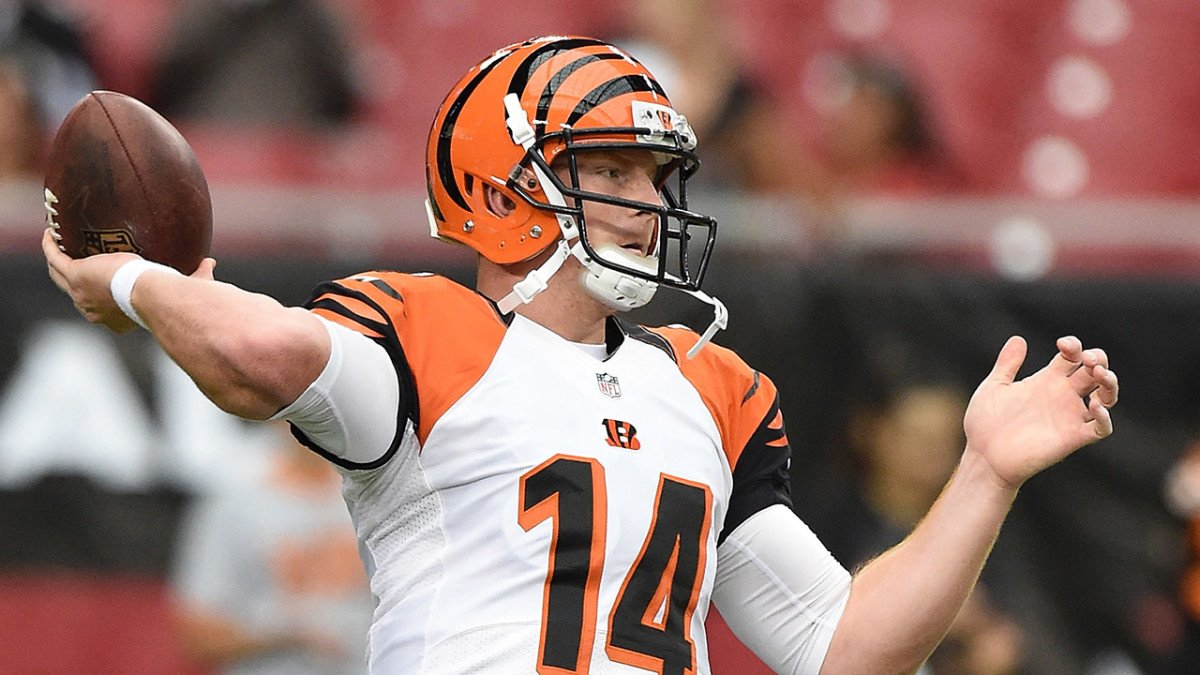 2014 NFL preview Cincinnati Bengals Sports Illustrated