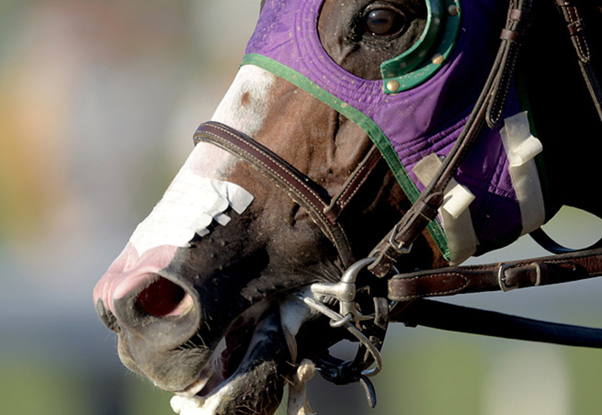 While California Chrome missed out on Triple Crown lore, he still raced among the greats at Belmont.