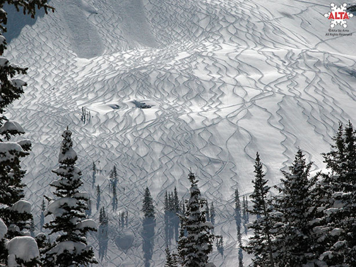 Image placeholder title