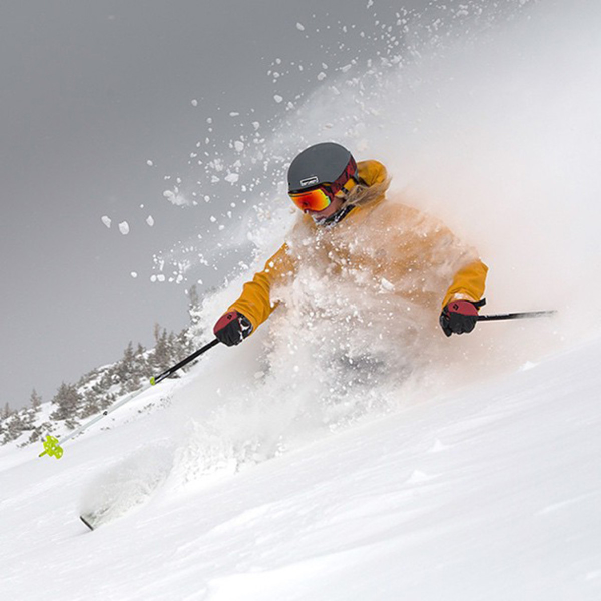 Image placeholder title