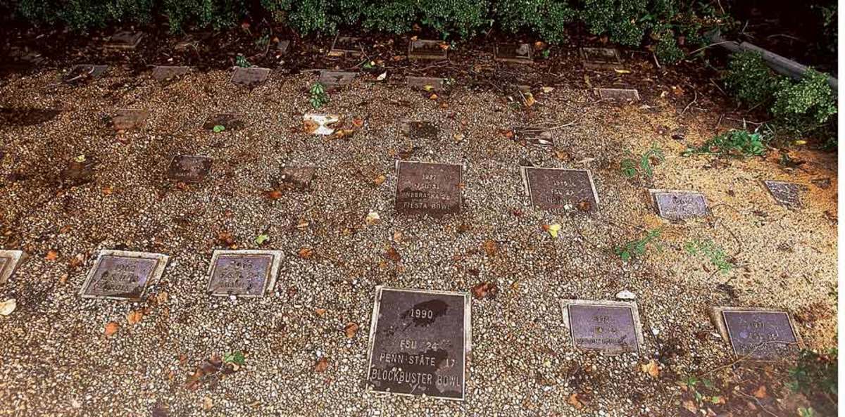 florida state's Sod Cemetery Sports Illustrated