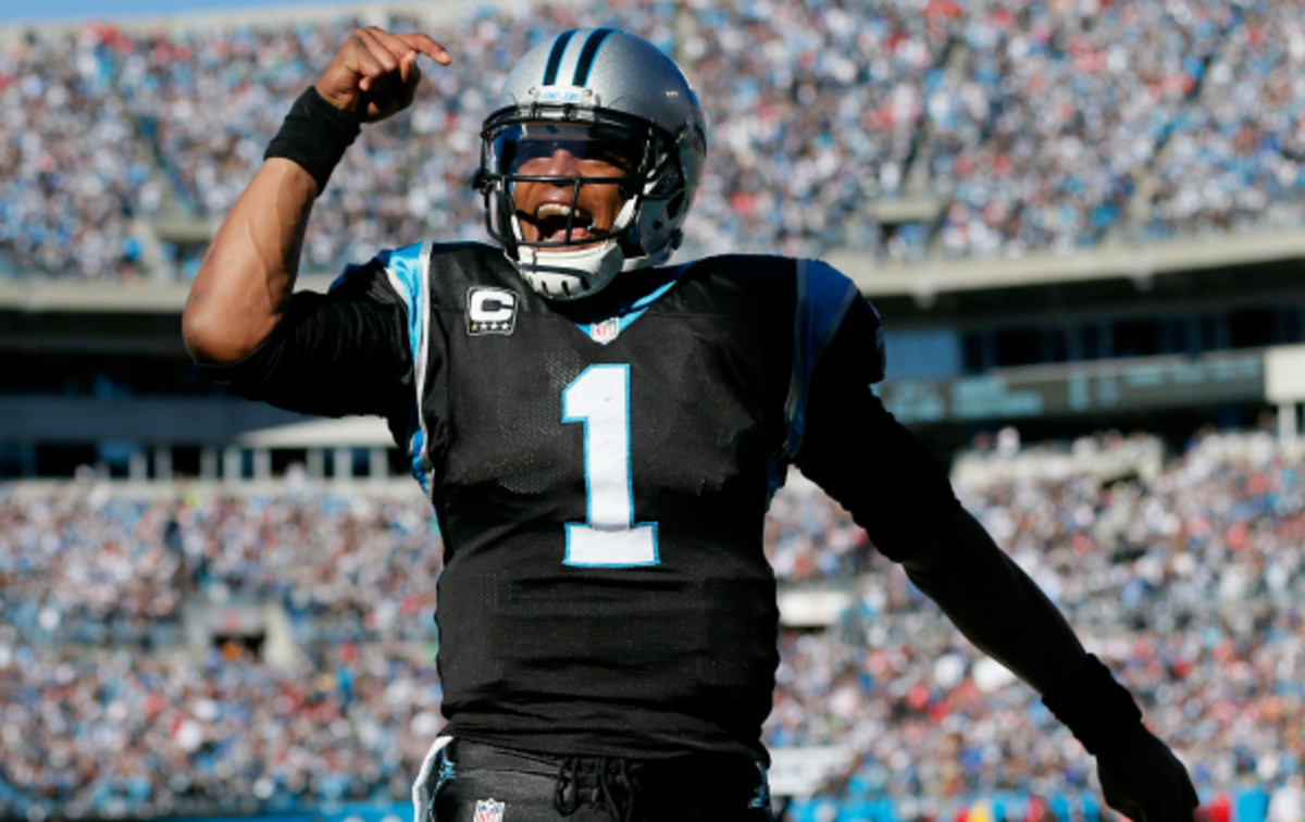 Cam Newton led the Panthers to an NFC South title in 2013. (Kevin C. Cox/Getty Images)