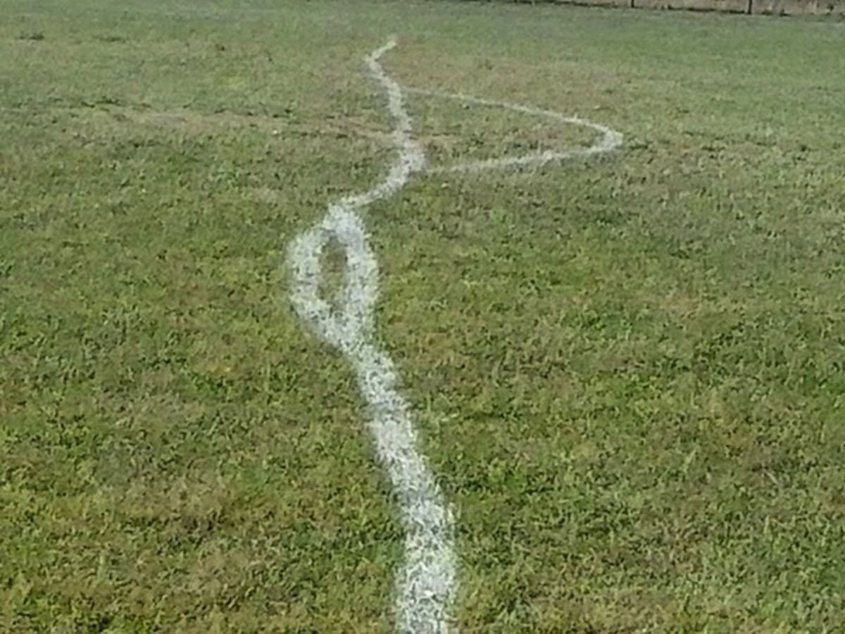 Facebook via SportRo