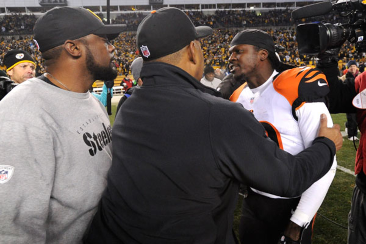 Mike Tomlin, Marvin Lewis and Reggie Nelson :: AP