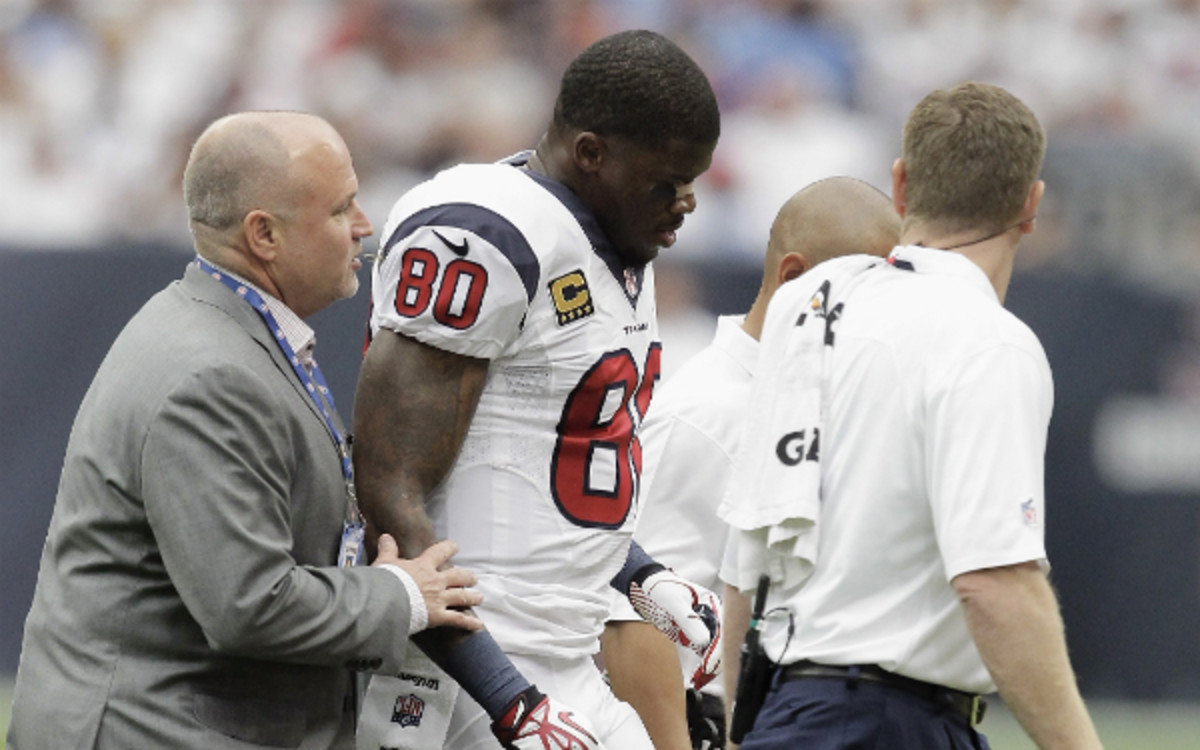 Andre Johnson might have suffered a concussion on Sunday. (Bob Levey/Getty Images)