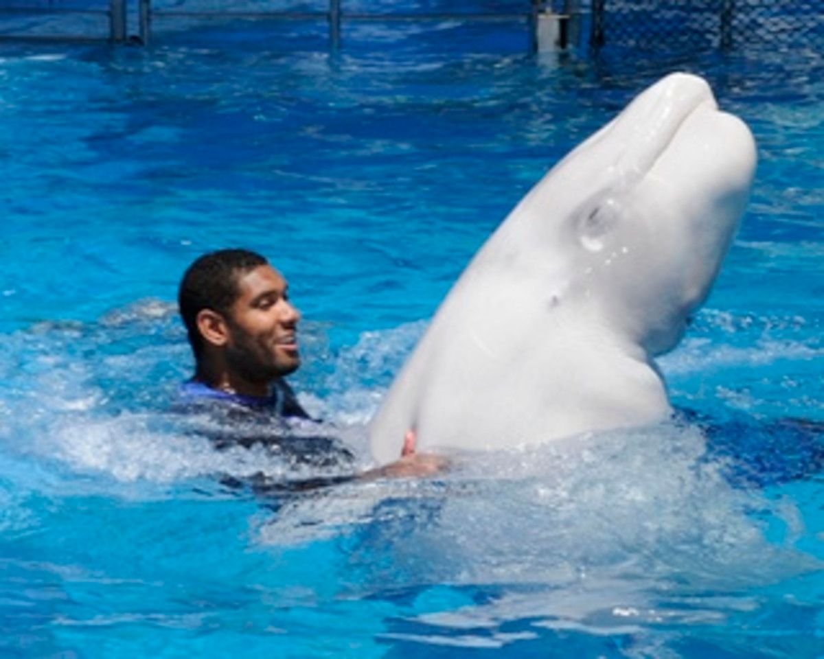 whaleduncan