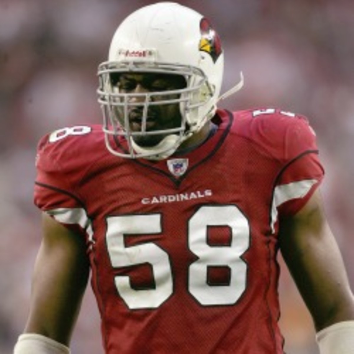 The Cardinals signed linebacker Karlos Dansby to a one-year deal. (Stephen Dunn/Getty Images)