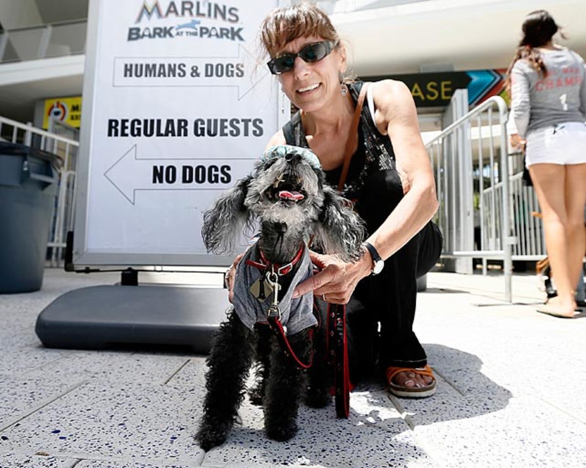 130722175101-miami-marlins-dog-32a2e39ddd1d4d918fe80ff381157a10-0-single-image-cut.jpg
