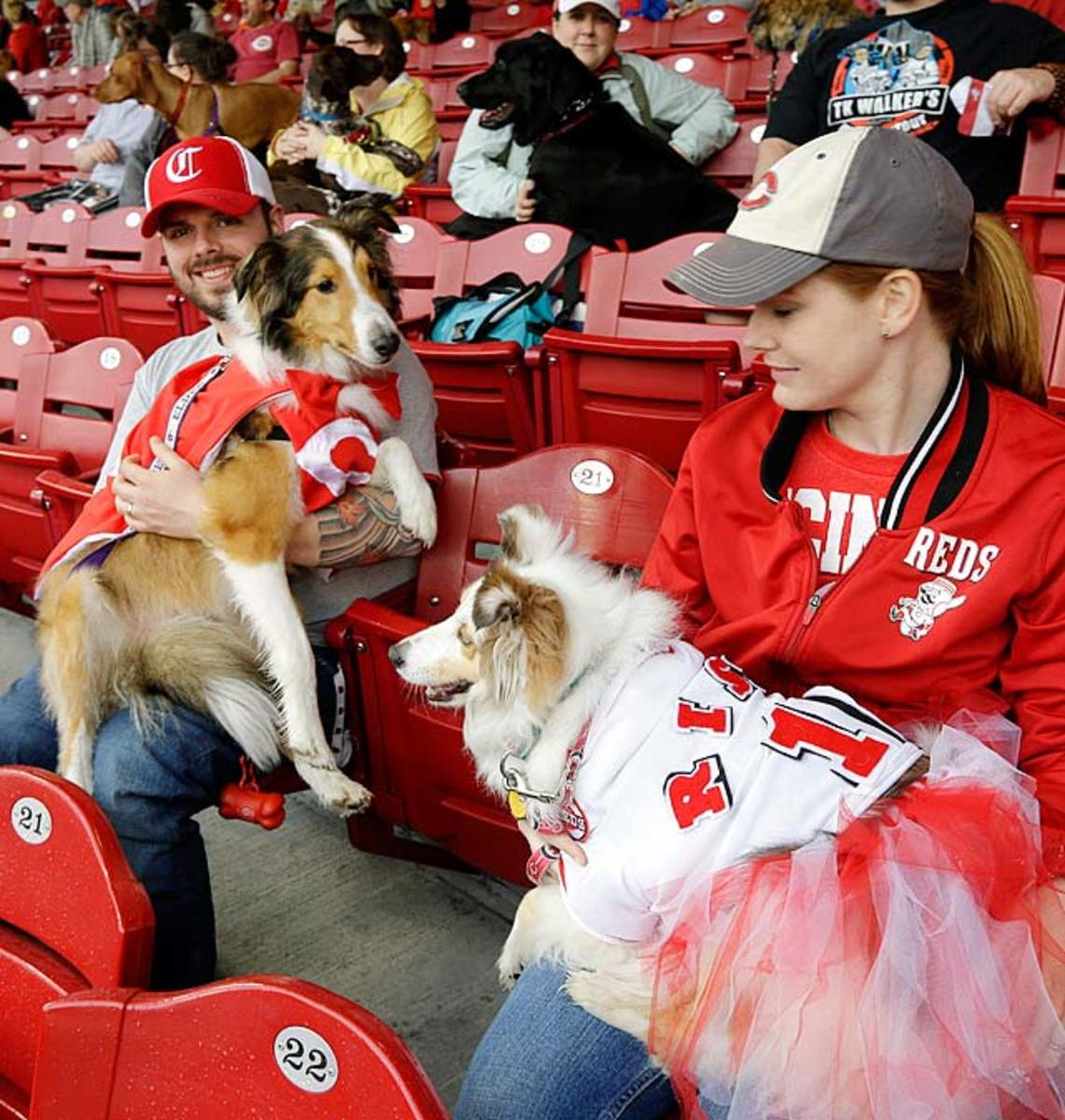 130722174950-cincinniati-reds-dogs-4efa8d350b0148dbb3e0ae92d01d9bc3-0-single-image-cut.jpg
