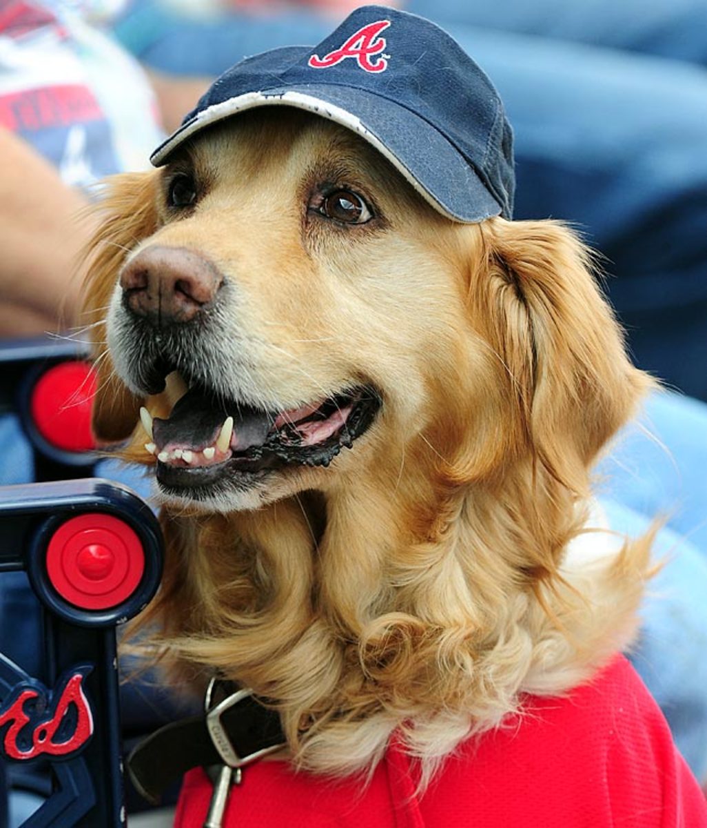 Ballpark Dogs Sports Illustrated