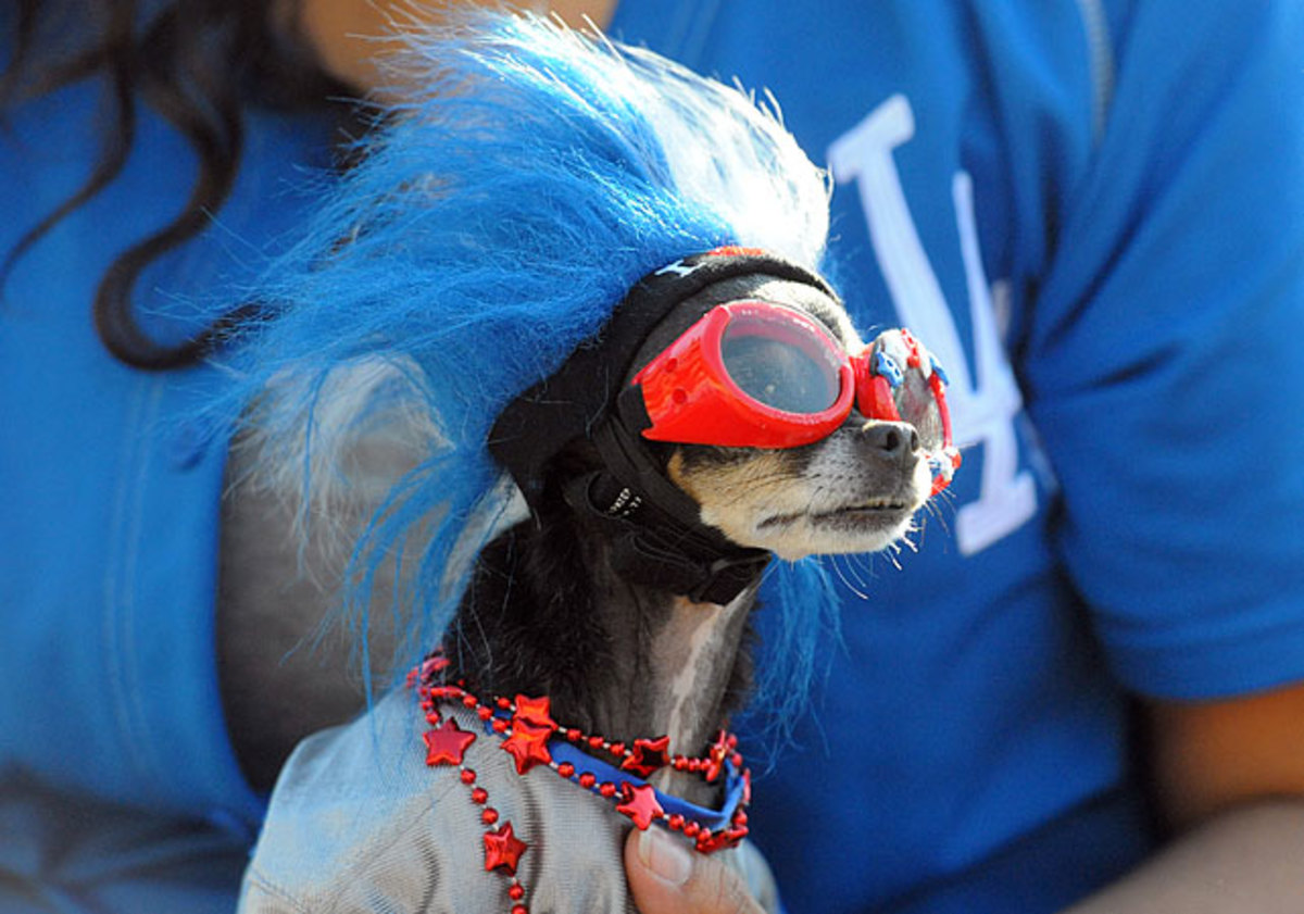 130722175017-los-angeles-dodgers-dog-0071305112367-marlins-at-dodgers-single-image-cut.jpg