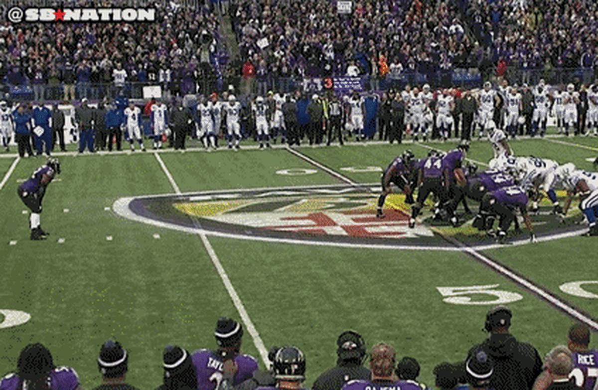 Image placeholder title