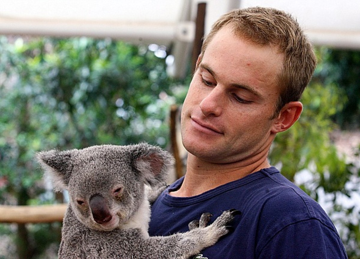Roddick Koala 2010