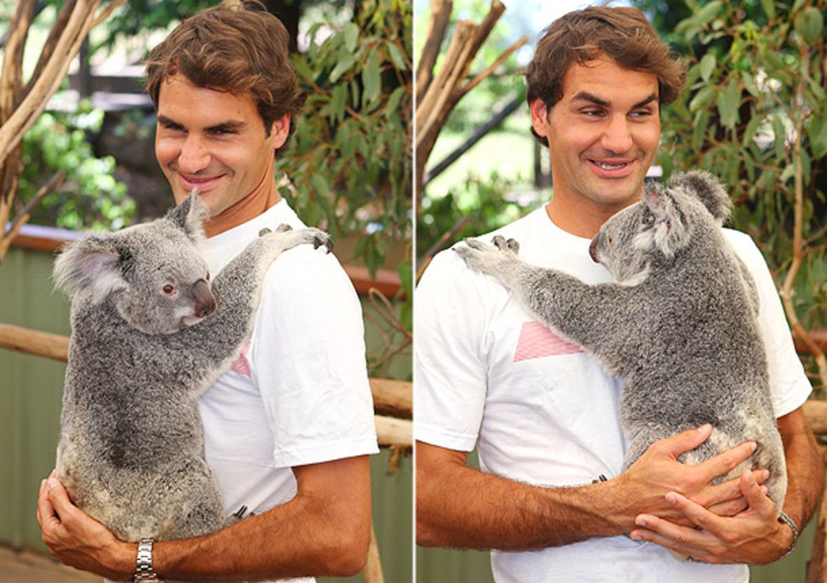 Roger-Federer-koala-1