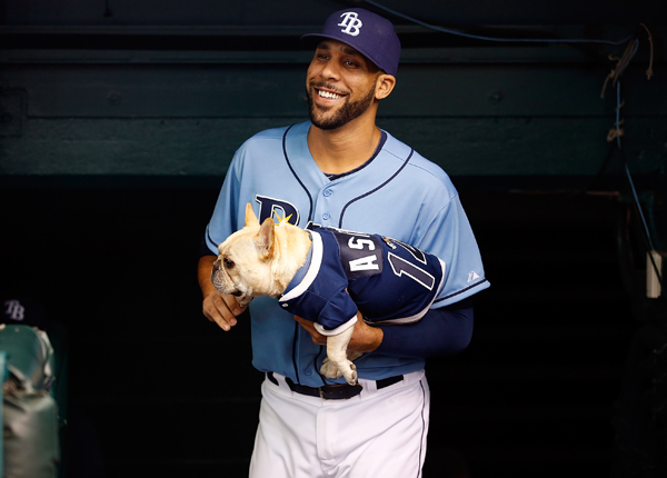Rays pitcher David Price preparing to be traded - Sports ...