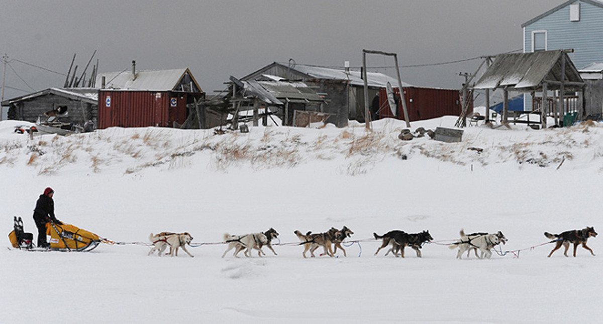 Mitch Seavey arrived at the White Mountain checkpoint first, closely followed by Aliy Zirkle.