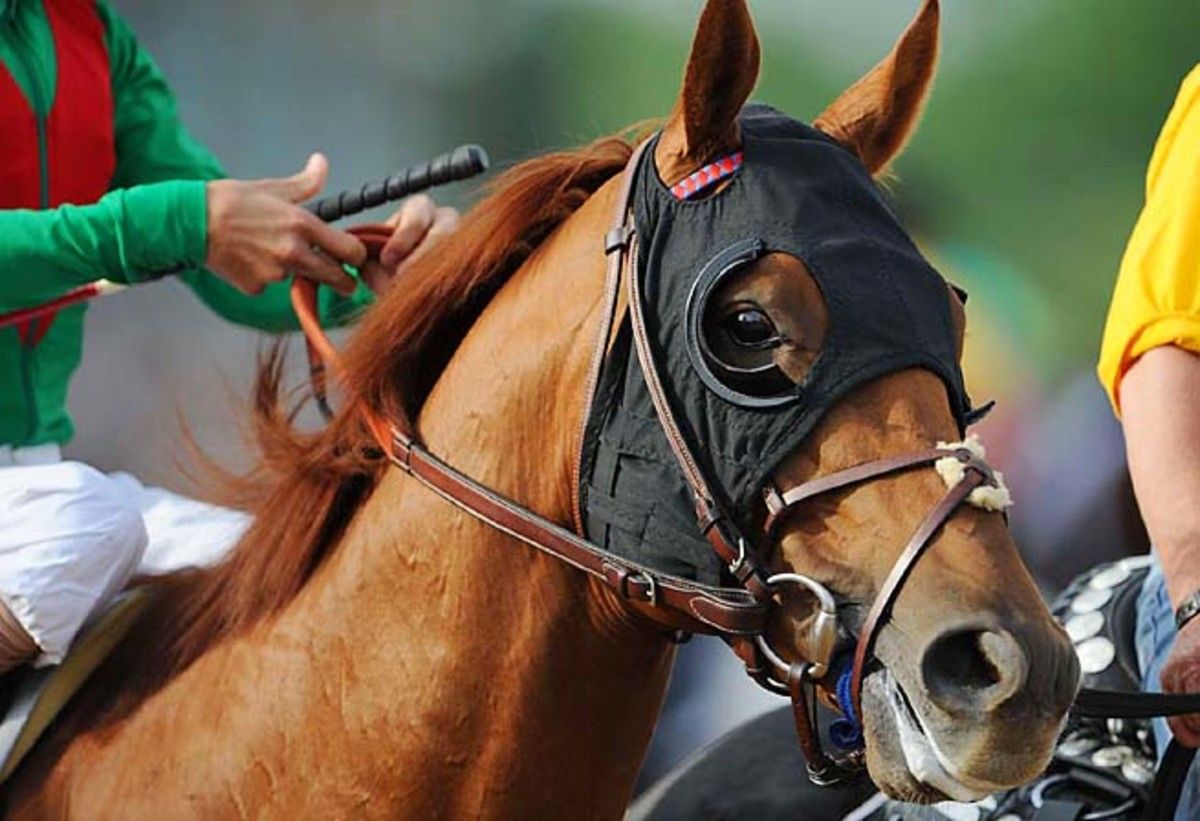 Animal Kingdom won the 2011 Kentucky Derby and Preakness but was sixth at the Belmont.