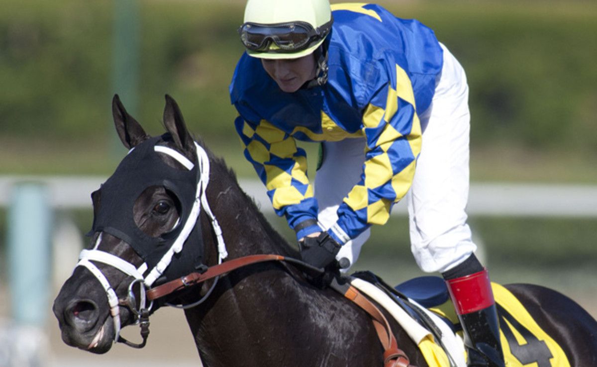 Shanghai Bobby, ridden by Rosie Napravnik, won the Breeder's Cup Juvenile Grade 1 race in November.