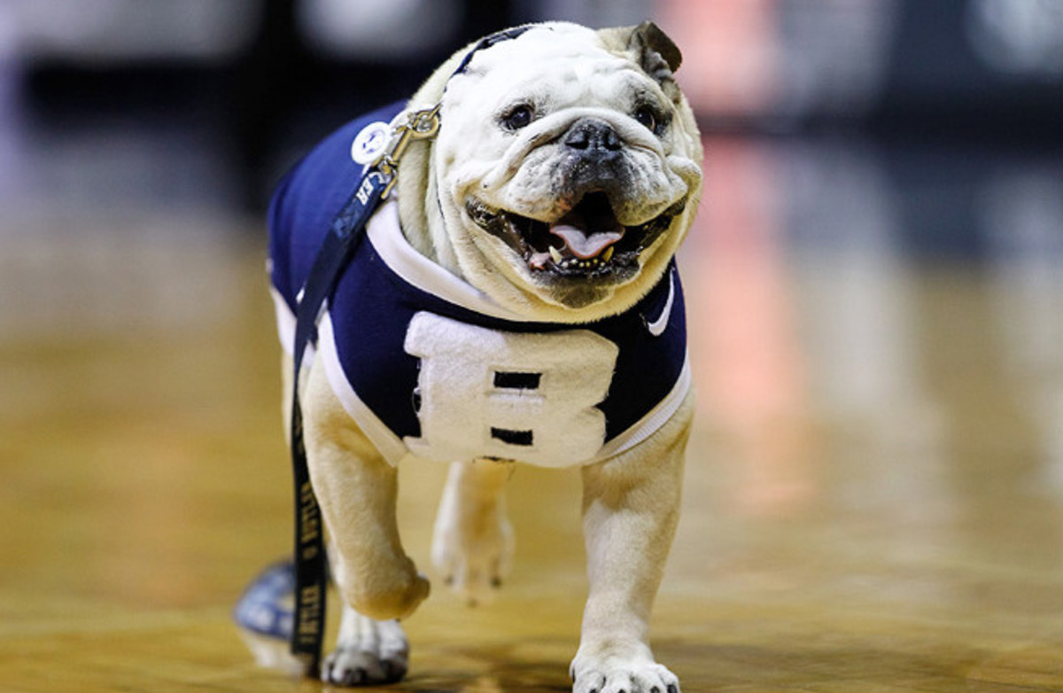 Blue appeared on the court for every Butler men's home game, select away games and the 2010 and 2011 Final Fours.