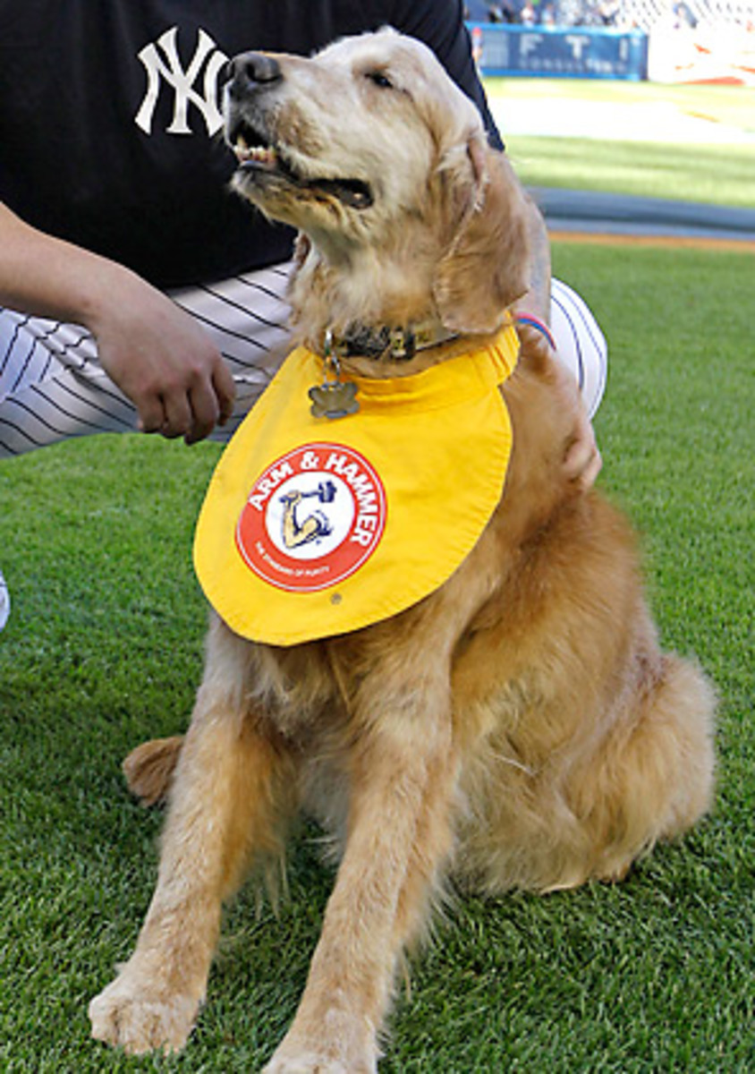 Chase the Dog was 13, and started working for the Trenton Thunder in 2002.