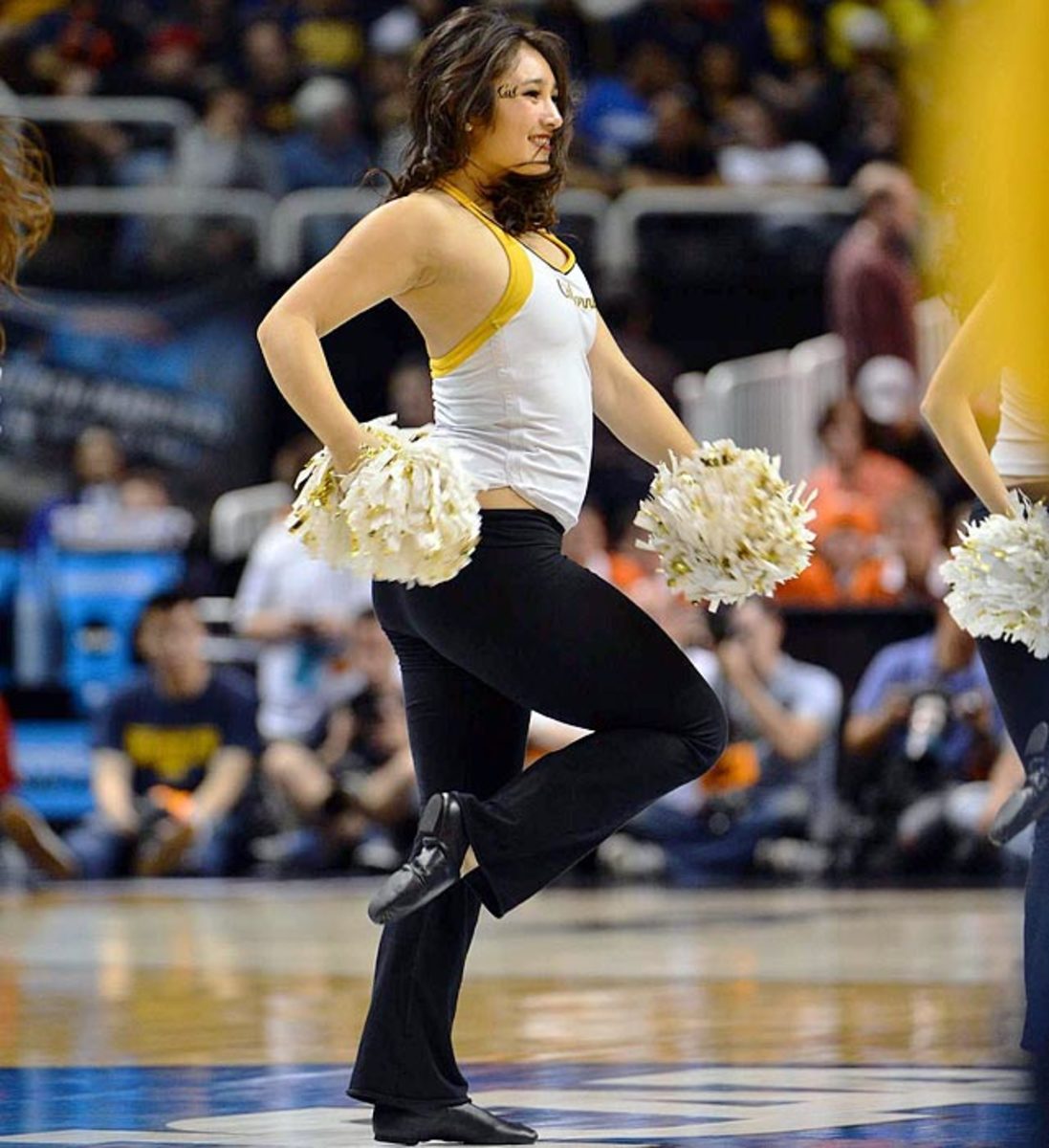 California Golden Bears