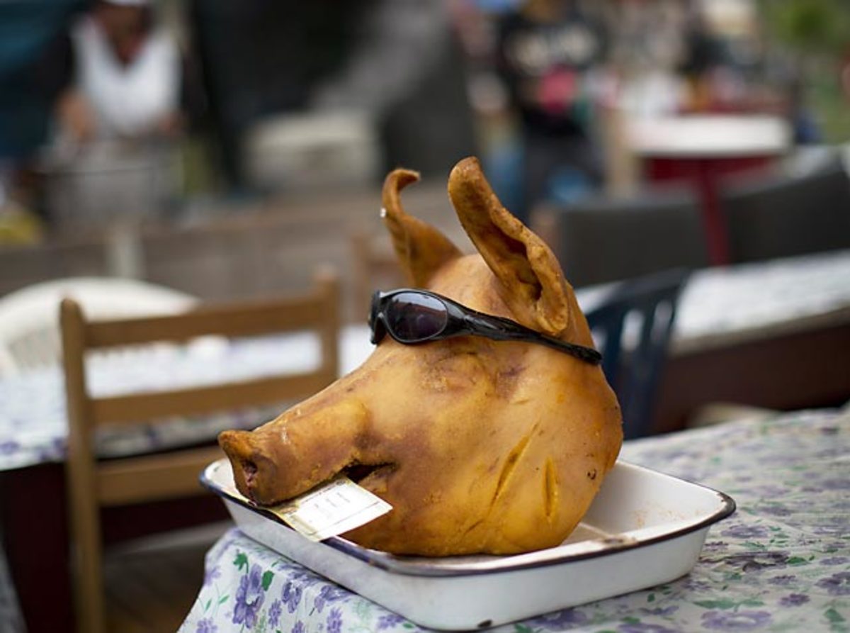 131107130840-day-of-the-dead-pig-87252eff-0-single-image-cut.jpg