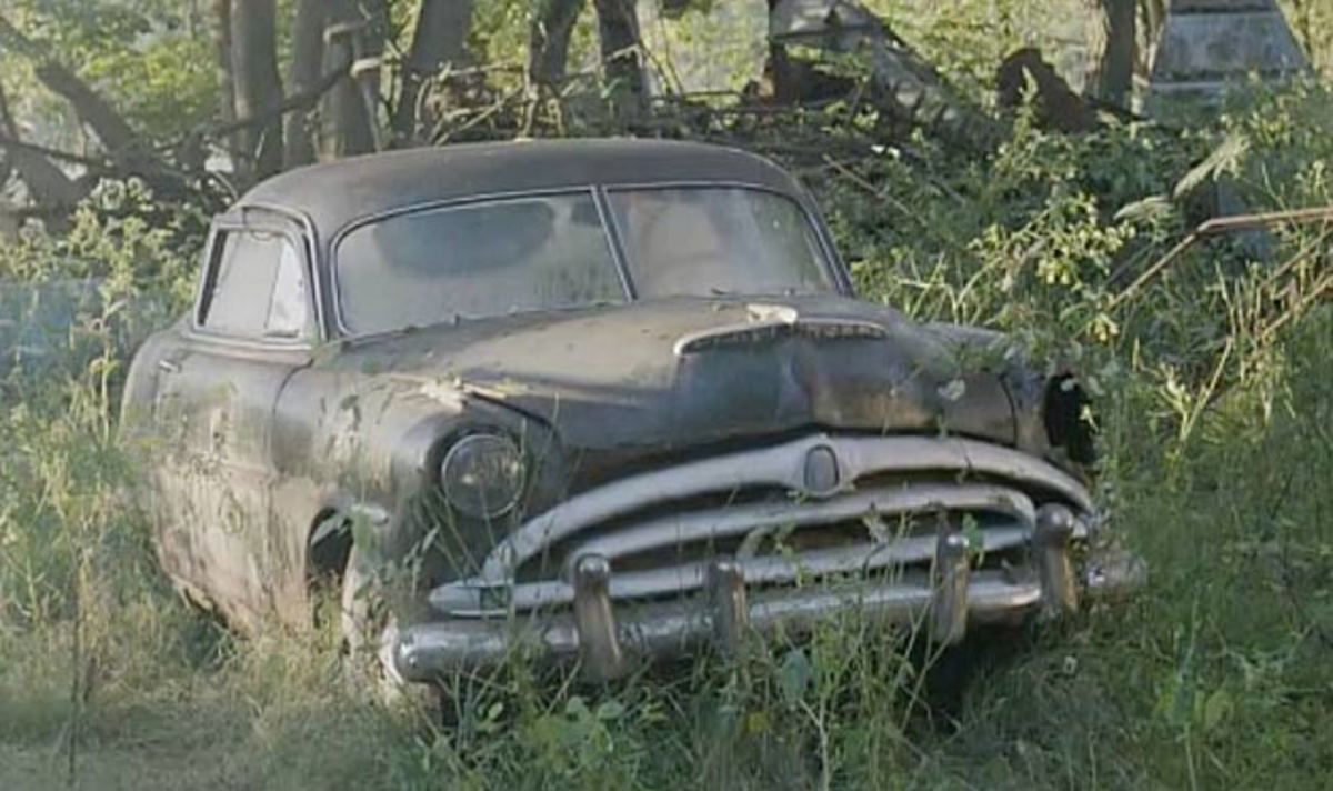 The legendary Mario Andretti's first automotive love, a 1948 Hudson Hornet, growing in the wild.