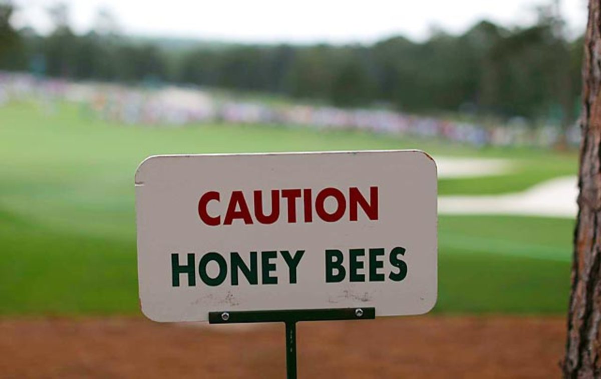 130419120054-bees-masters-golf-single-image-cut.jpg