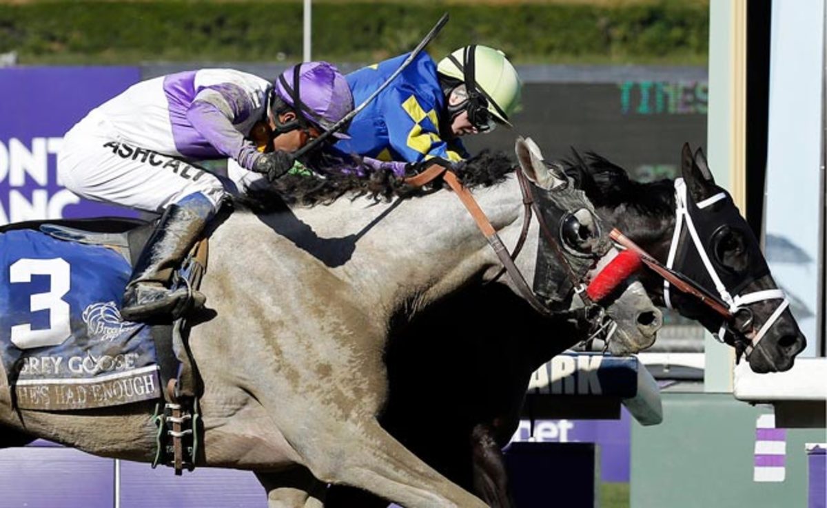 Shanghai Bobby won the Breeders' Cup Juvenile horse race in Nov. 2012.