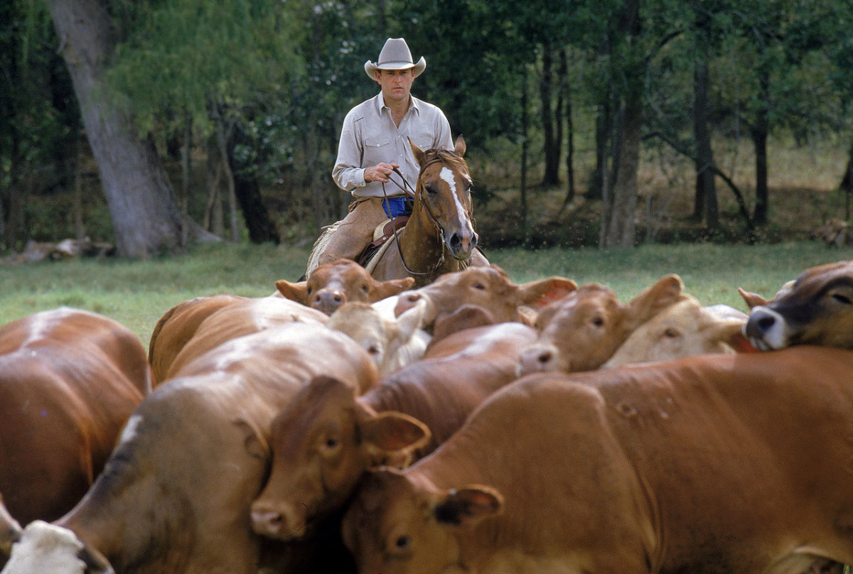 1986-nolan-ryan-ranch-001301305.jpg