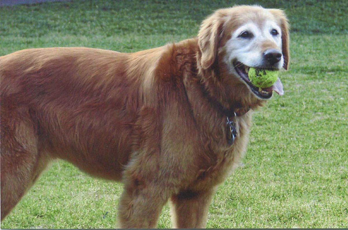 bailey-real.jpg