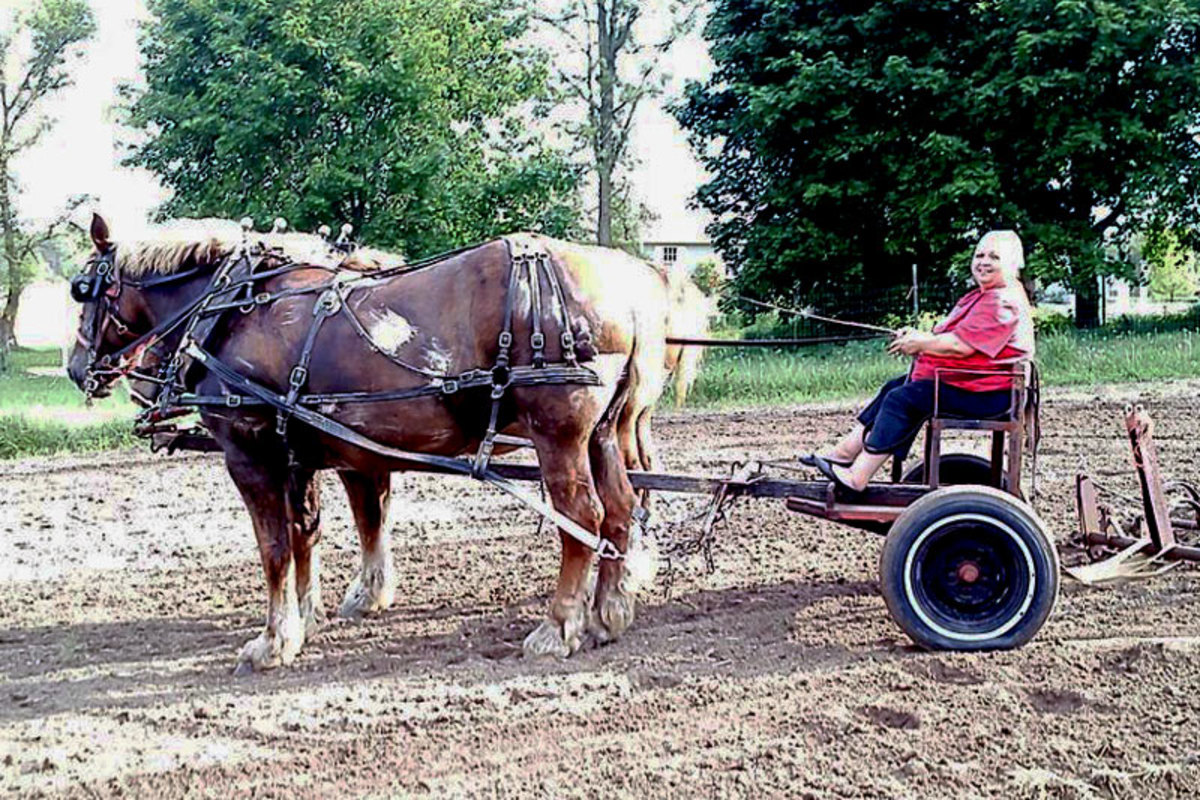 Ardis on the family’s 100-acre horse farm in Michigan. (Courteys the Lelito family)