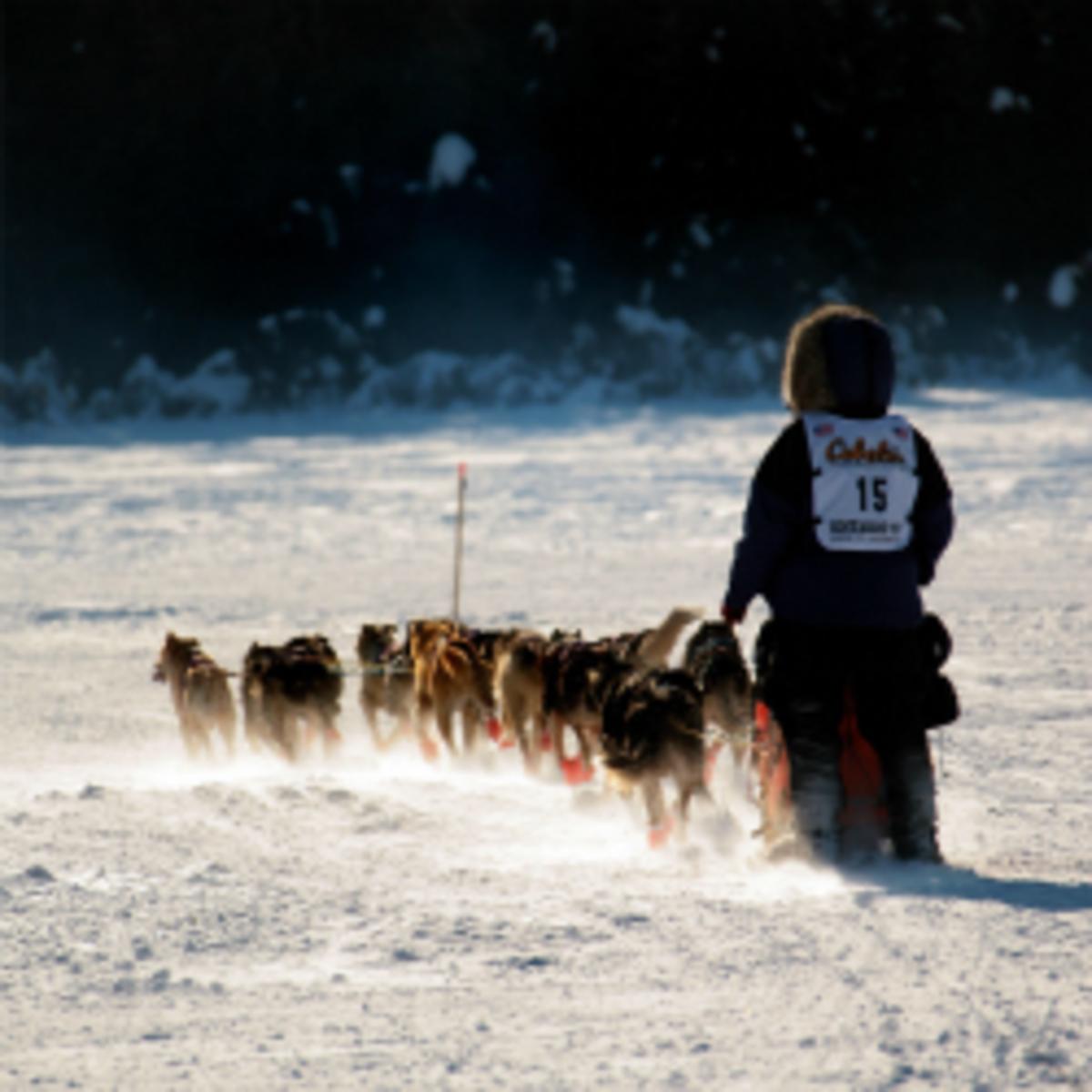 A lost dog has caused a Canadian musher to withdraw from the Iditarod race.