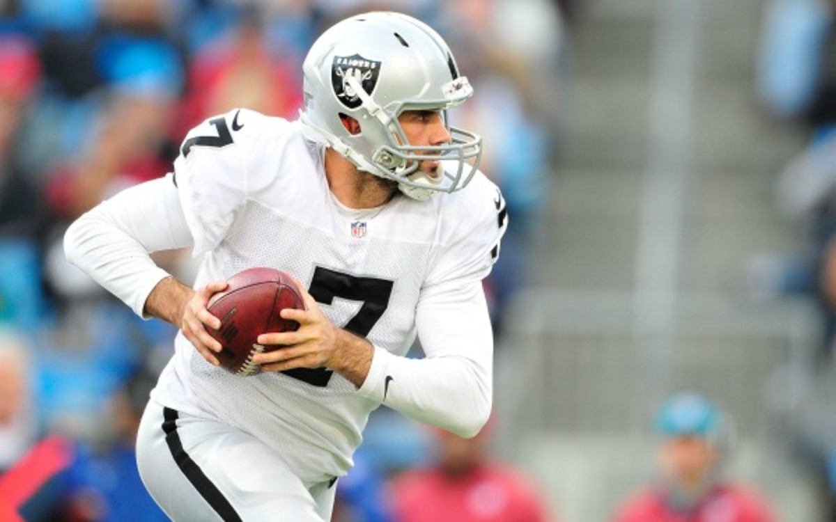 The Buffalo Bills will work out unsigned free agent Matt Leinart as a possible starting QB. (Grant Halverson/Getty Images)