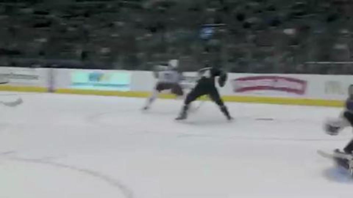 Best NHL goals of the week Sports Illustrated