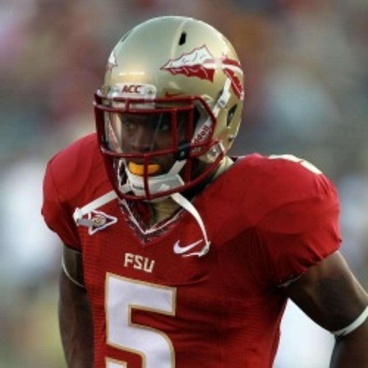 at Doak Campbell Stadium on September 17, 2011 in Tallahassee, Florida.