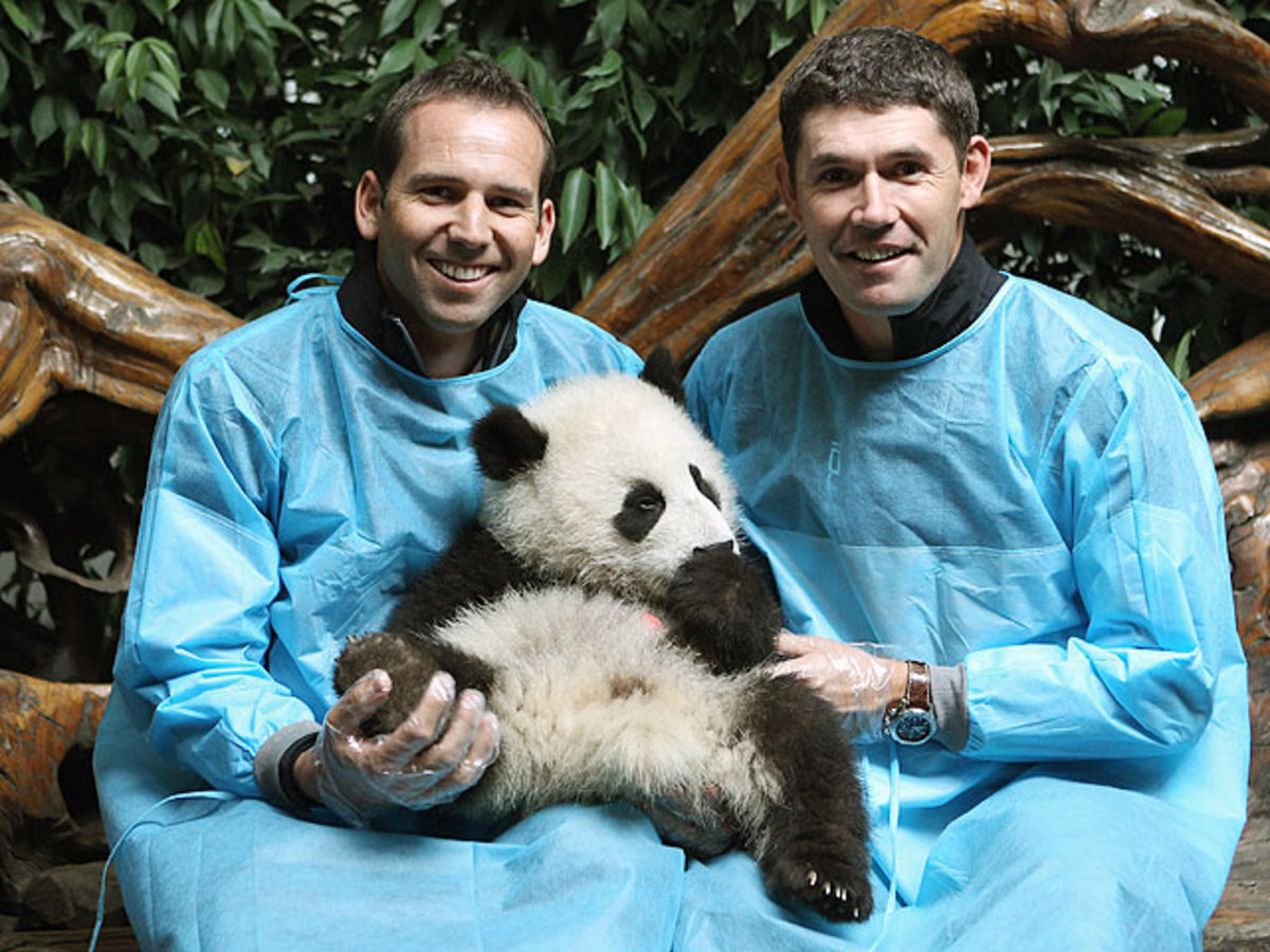 Sergio Garcia, Padraig Harrington