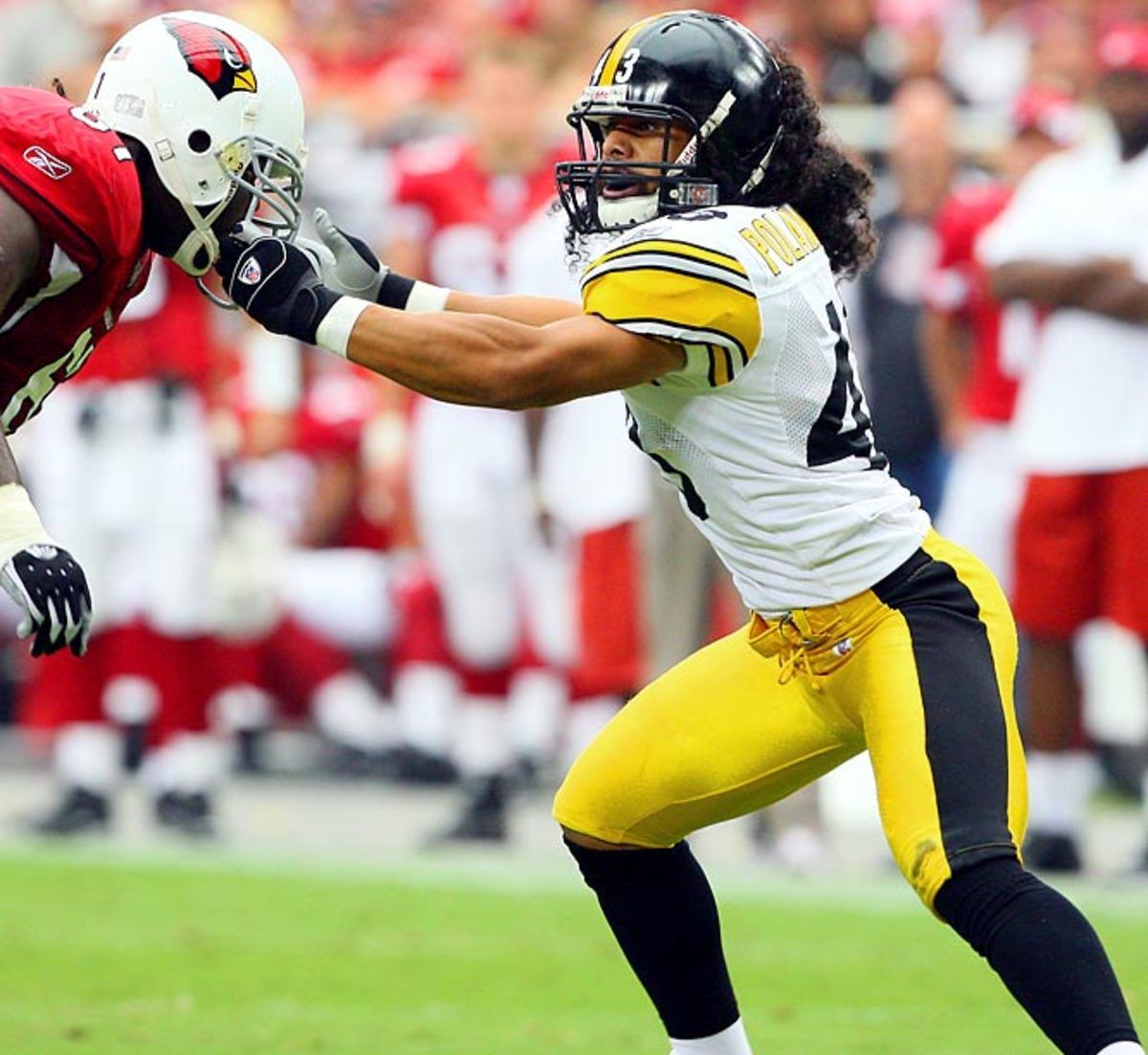 Troy Polamalu