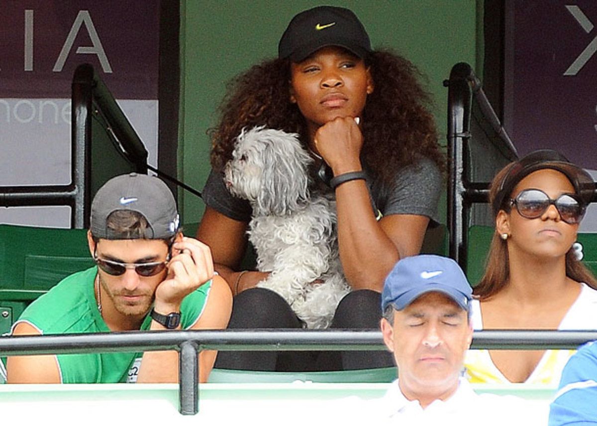 serena-dog