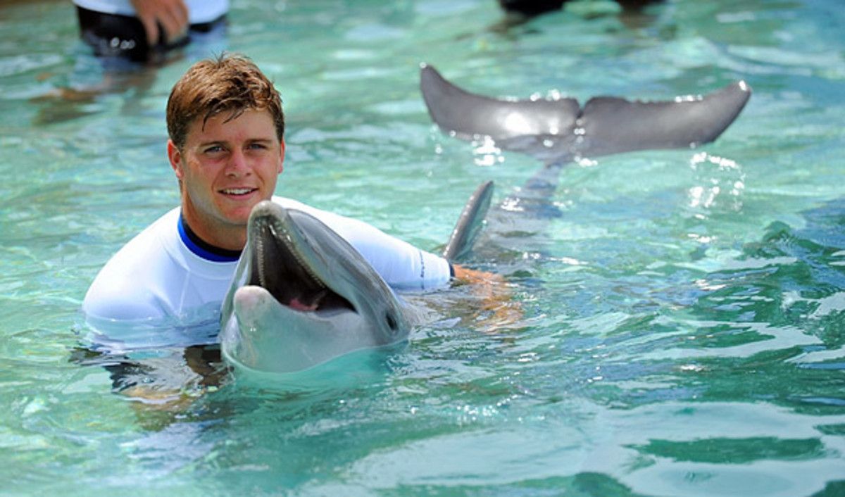 ryan-harrison-dolphin