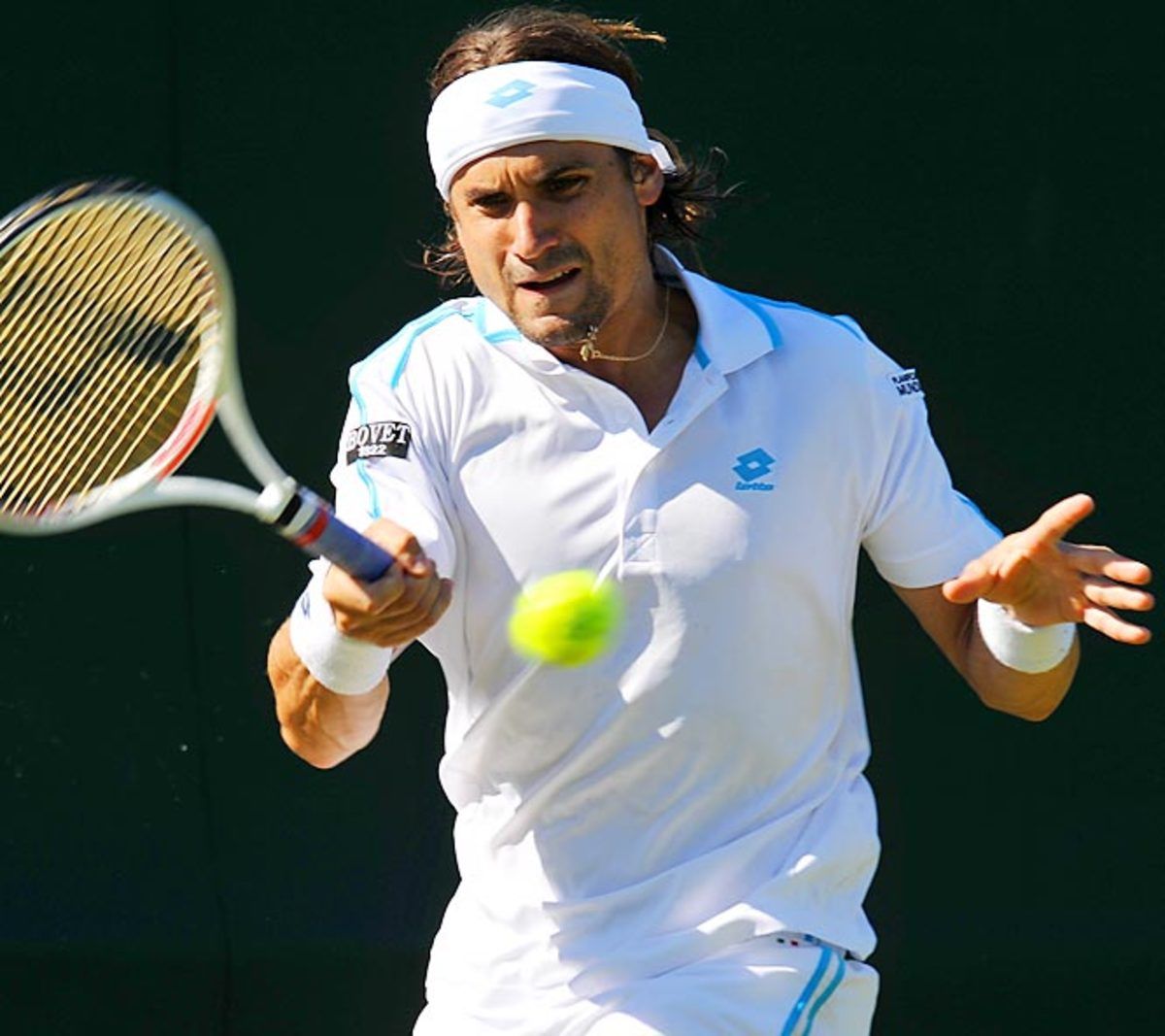 David Ferrer