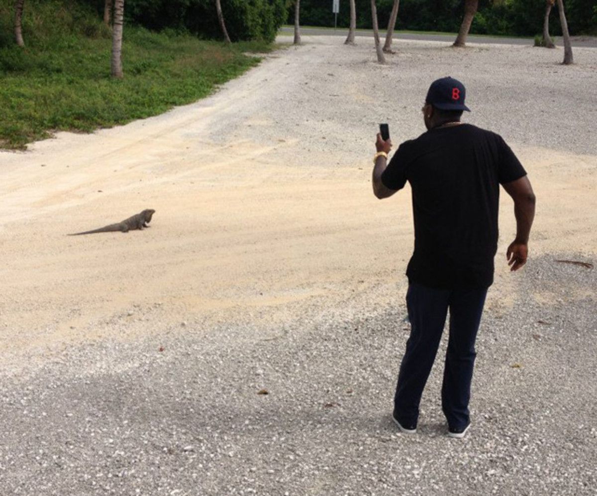David Ortiz and Iguana