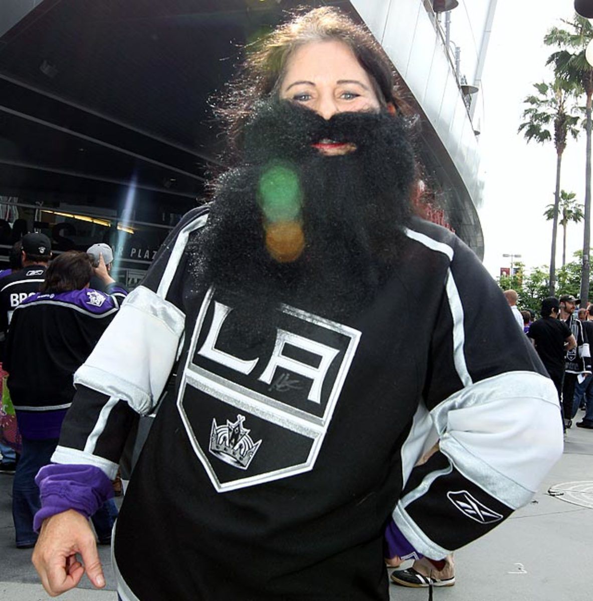 kings-fan-145725018.jpg