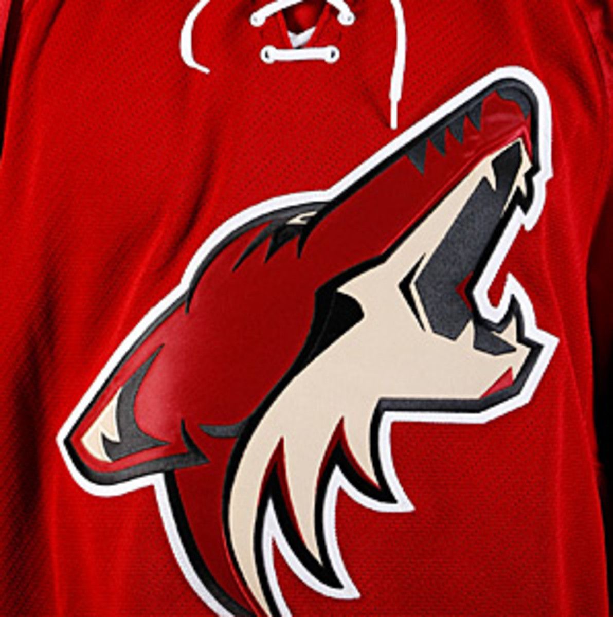 coyotes.jpg