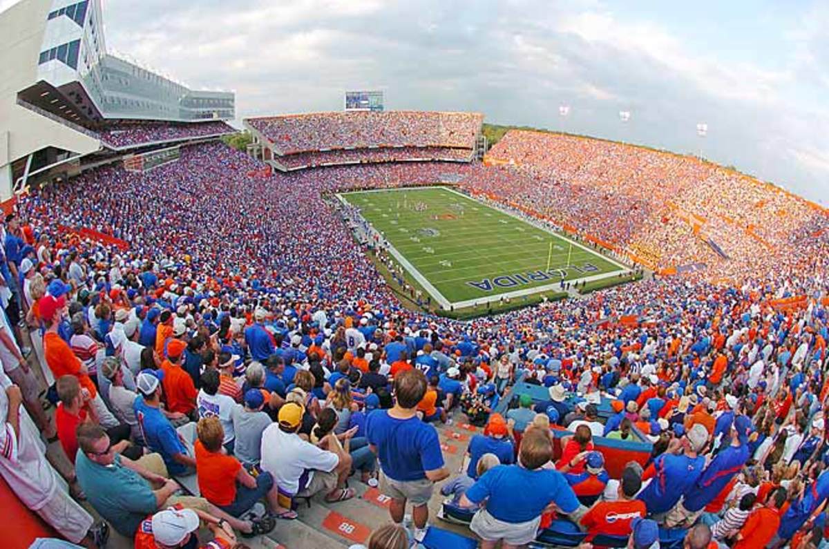 The Swamp