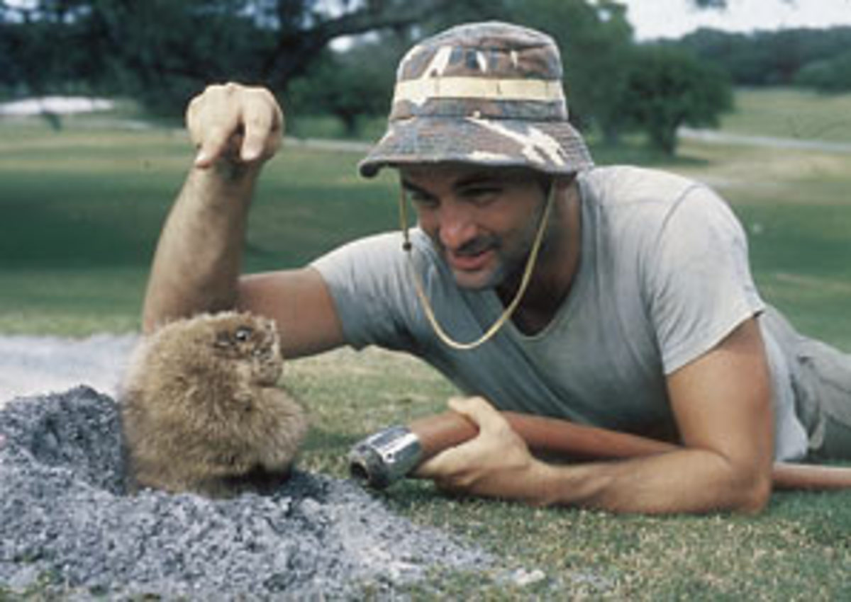 caddyshack.jpg
